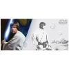 LA-GUERRE-DES-ETOILES---LUKE-SKYWALKER---BILLET-ARGENT1.png
