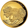 Australian-Koala-1once-2014.png