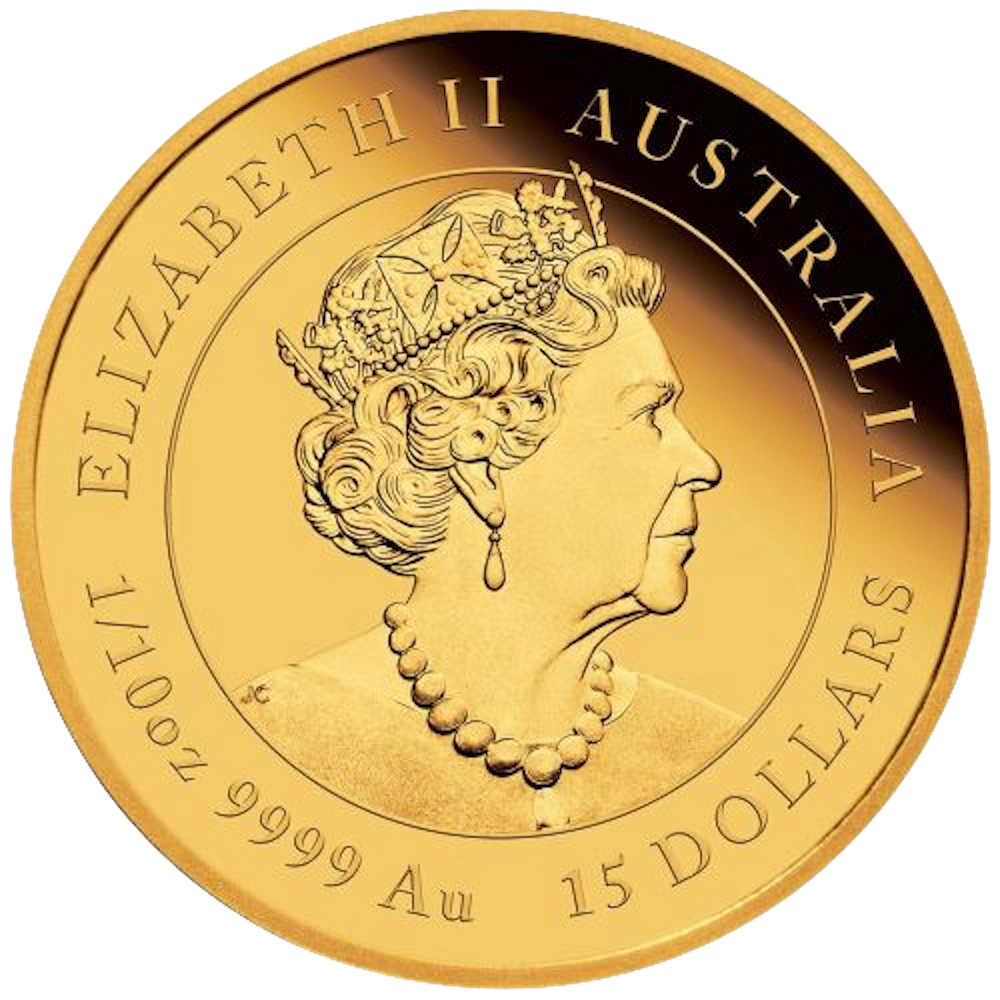 Australian Lunar Tigre 1/10 Once Or