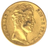 17344-lavers.png