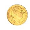 9614_lavers_.png