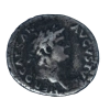 23828_lavers_.png