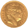 21067-lavers.png