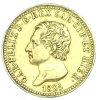 25328_lavers_.png